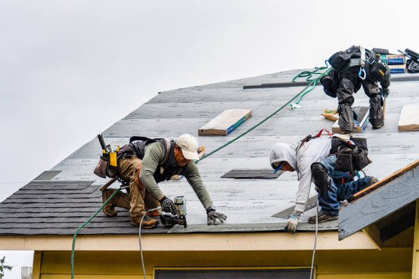 Professional Roofing technician working in Rockford, IL